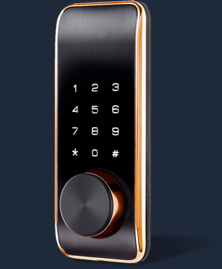 Stylish black and gold smart lock, perfect for modern homes seeking both security and sophistication.